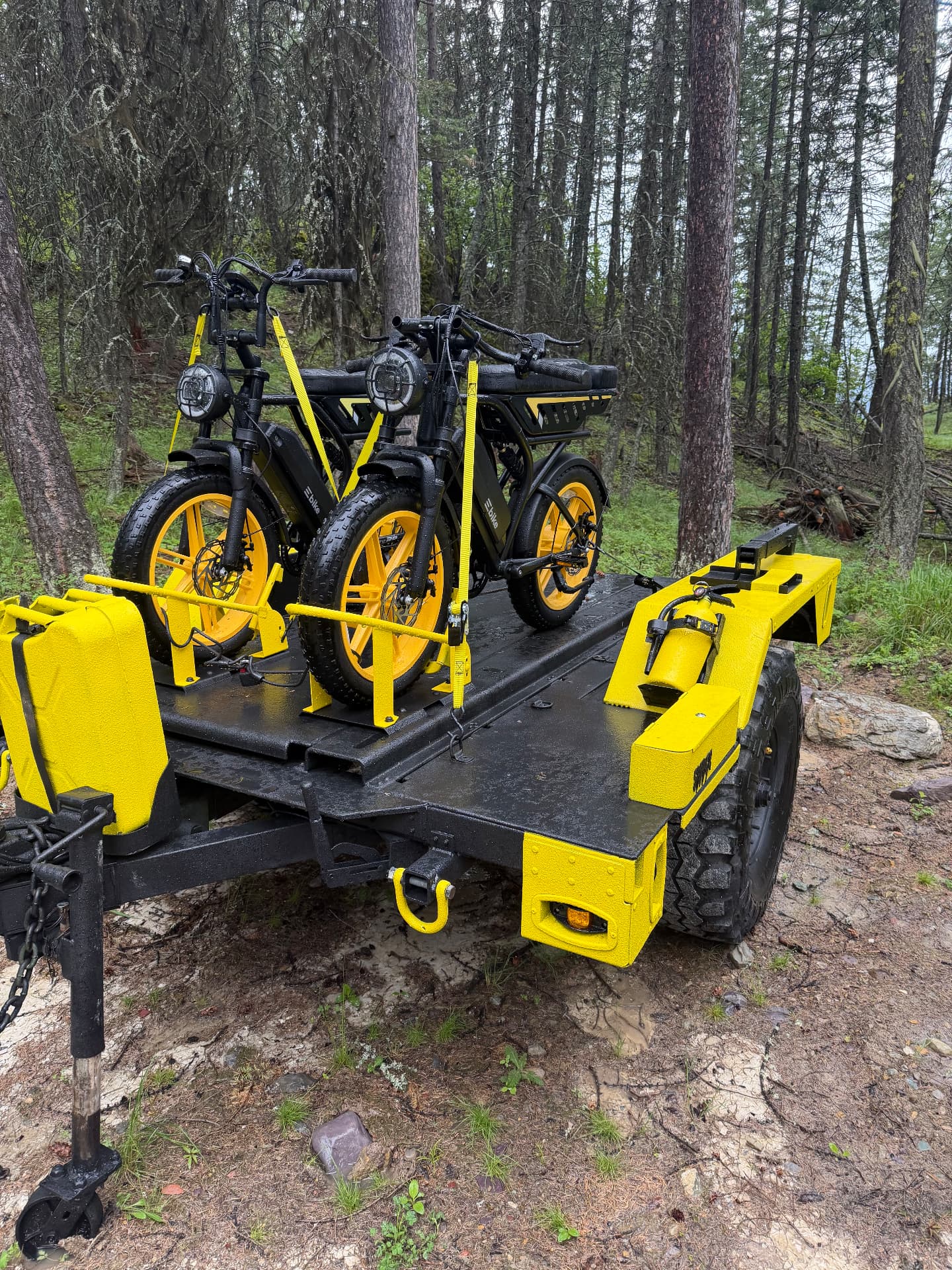 Matching trailer with two electric bikes